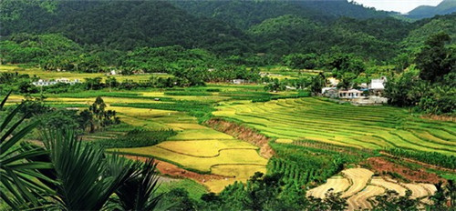 走路有地刺的小游戏（走路有地刺的小游戏叫什么）