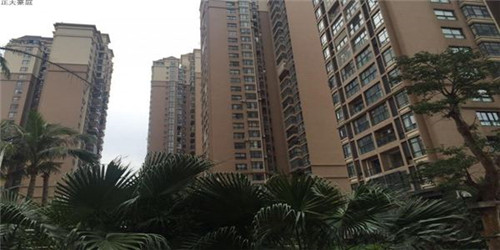 云龙县种子加盟投资开店什么品牌风险低（云县种子公司）